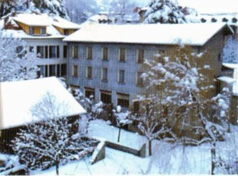Hotel Du Dauphine Allevard Exterior foto